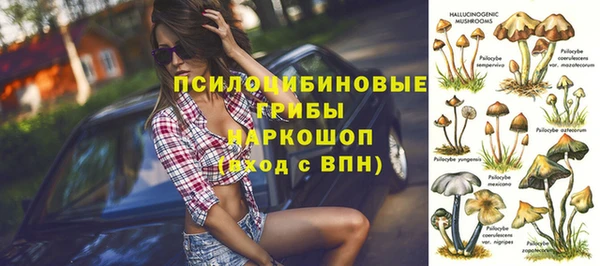 ГАЛЛЮЦИНОГЕННЫЕ ГРИБЫ Переславль-Залесский