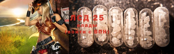 сатива Пересвет